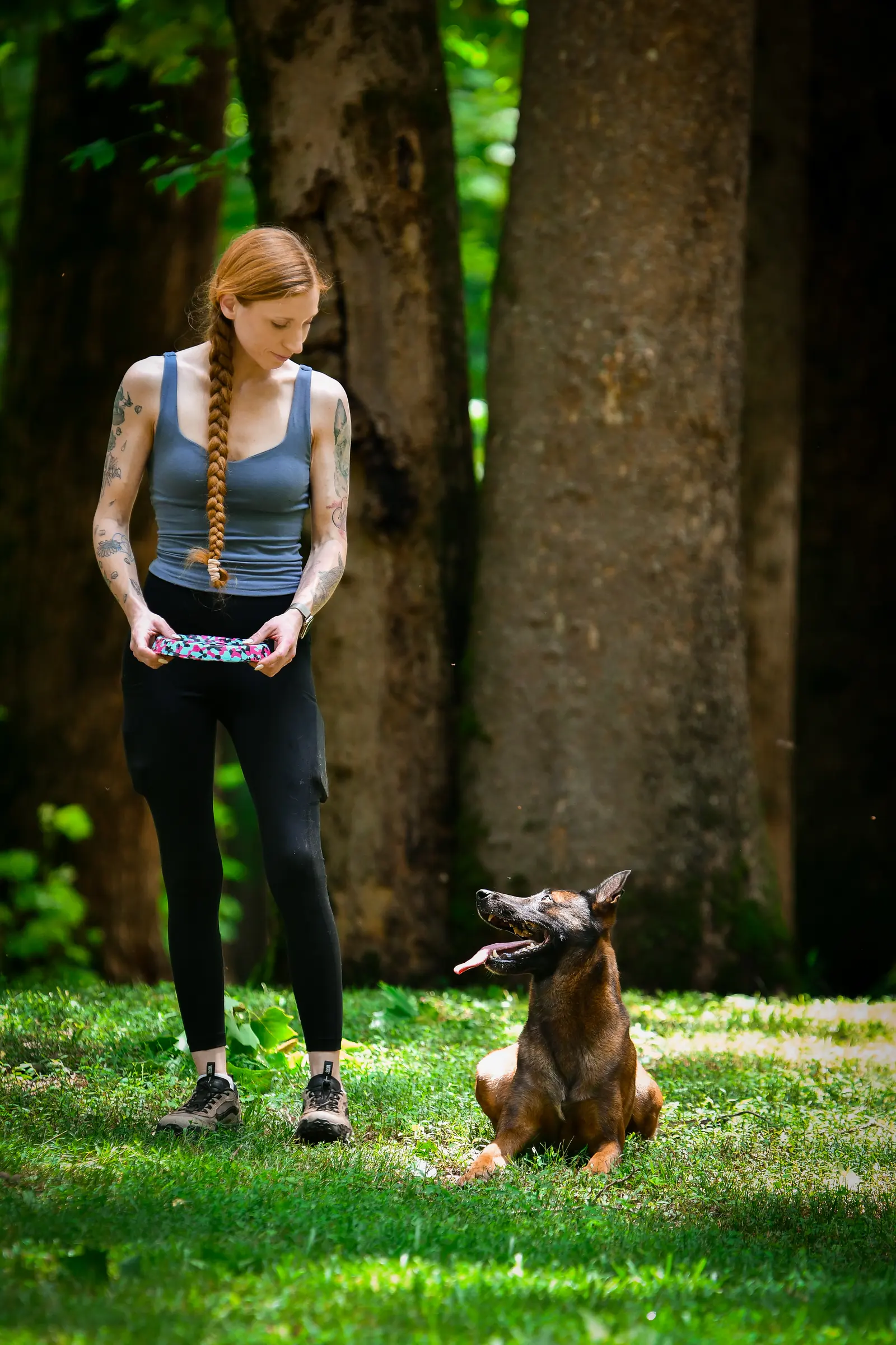 Pet transportation and local pet care support 7